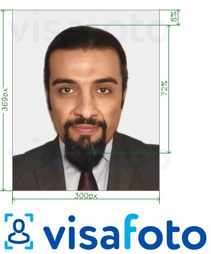 مع مواصفات الحجم الدقيقة تأشيرة الإمارات العربية المتحدة عبر الإنترنت emirates.com 300×369 بكسل مثال على صورة لـ 