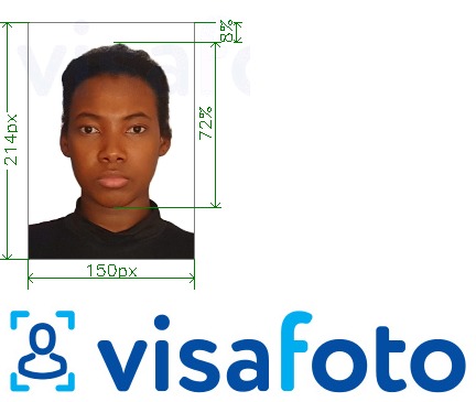 مع مواصفات الحجم الدقيقة تأشيرة غينيا كوناكري الإلكترونية لـ paf.gov.gn مثال على صورة لـ 